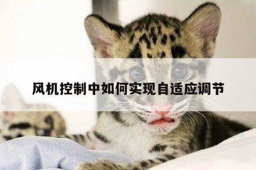 风机控制中如何实现自适应调节