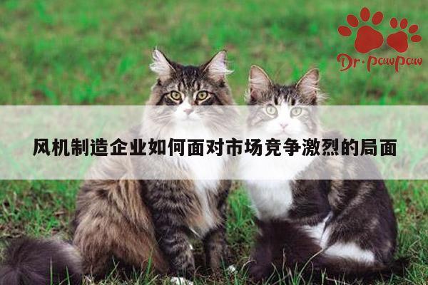 风机制造企业如何面对市场竞争激烈的局面