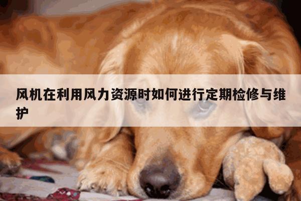 风机在利用风力资源时如何进行定期检修与维护