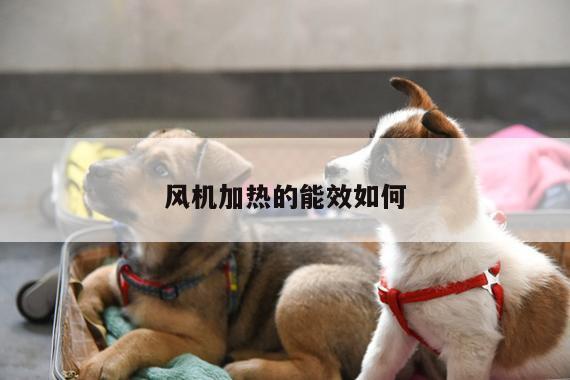 风机加热的能效如何