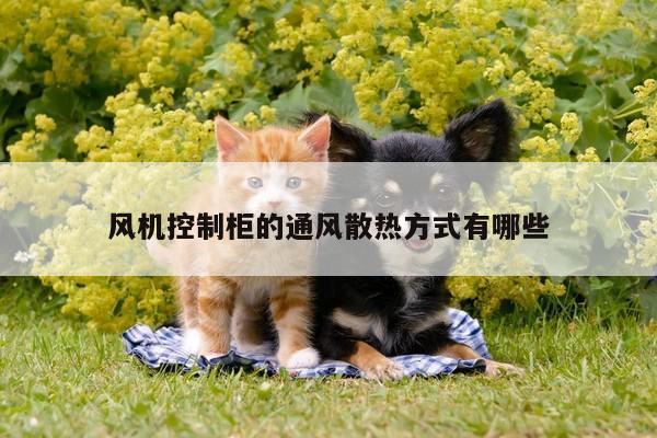 风机控制柜的通风散热方式有哪些