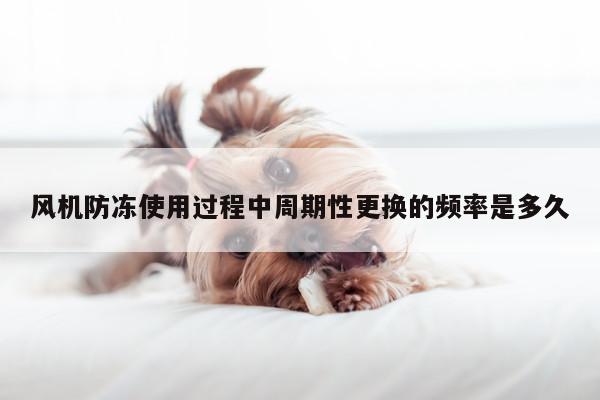 风机防冻使用过程中周期性更换的频率是多久