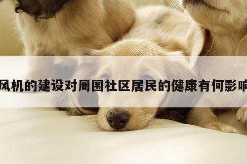 风机的建设对周围社区居民的健康有何影响