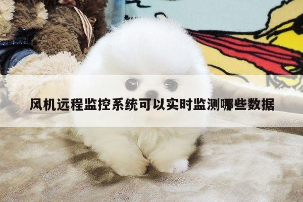 风机远程监控系统可以实时监测哪些数据
