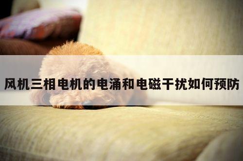 风机三相电机的电涌和电磁干扰如何预防
