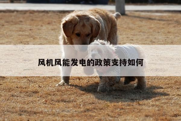 风机风能发电的政策支持如何