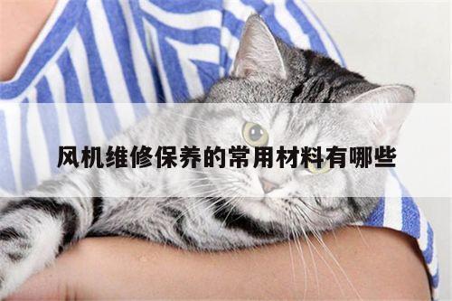 风机维修保养的常用材料有哪些