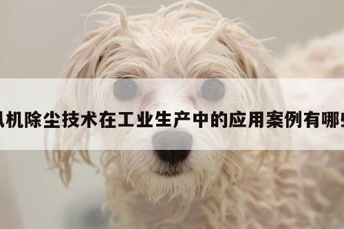 风机除尘技术在工业生产中的应用案例有哪些