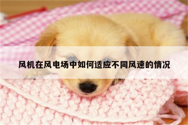 风机在风电场中如何适应不同风速的情况