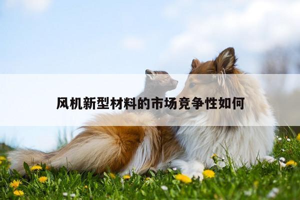 风机新型材料的市场竞争性如何