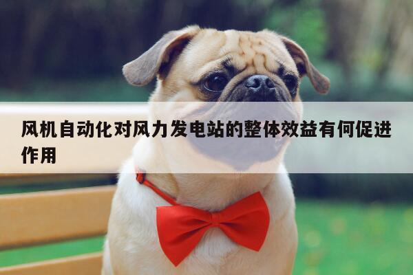 风机自动化对风力发电站的整体效益有何促进作用