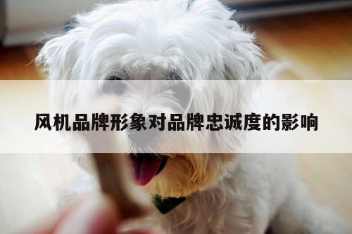 风机品牌形象对品牌忠诚度的影响