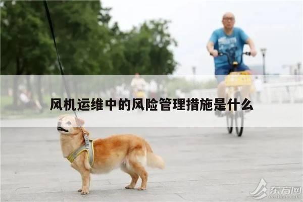 风机运维中的风险管理措施是什么