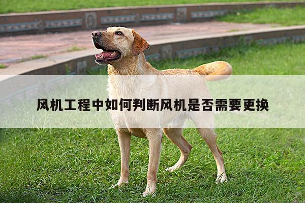风机工程中如何判断风机是否需要更换