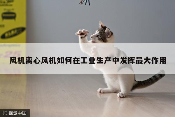 风机离心风机如何在工业生产中发挥最大作用