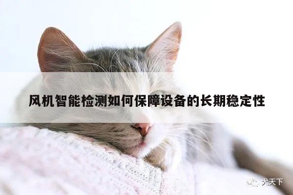 风机智能检测如何保障设备的长期稳定性