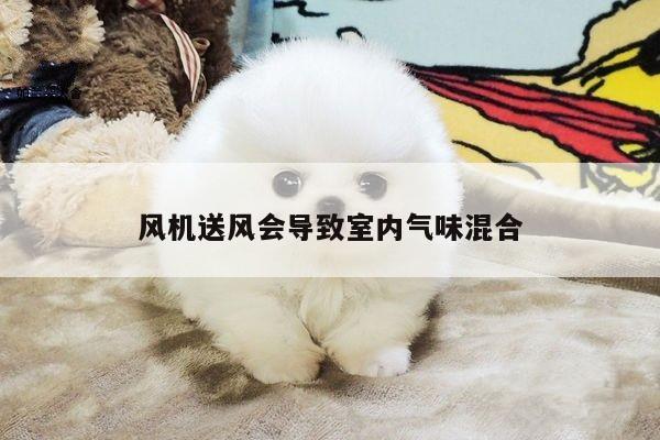 风机送风会导致室内气味混合