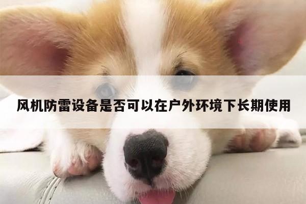 风机防雷设备是否可以在户外环境下长期使用