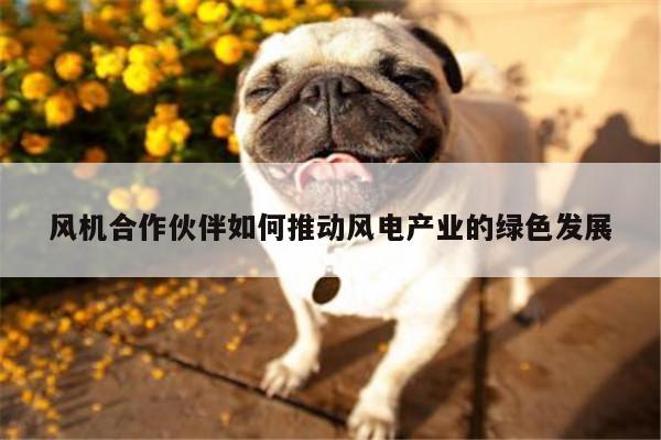 风机合作伙伴如何推动风电产业的绿色发展