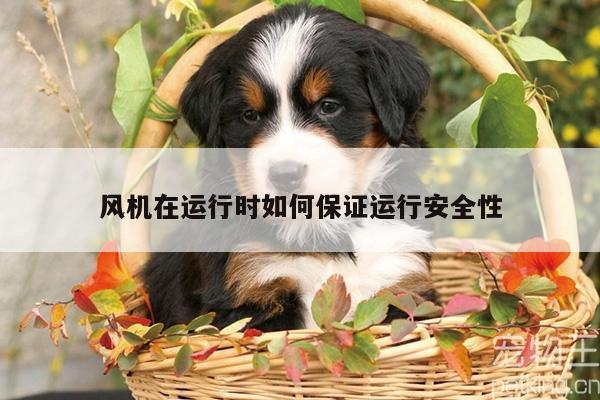 风机在运行时如何保证运行安全性
