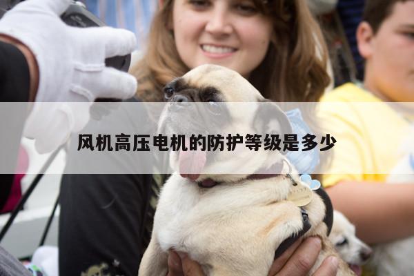 风机高压电机的防护等级是多少