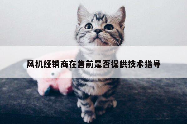 风机经销商在售前是否提供技术指导