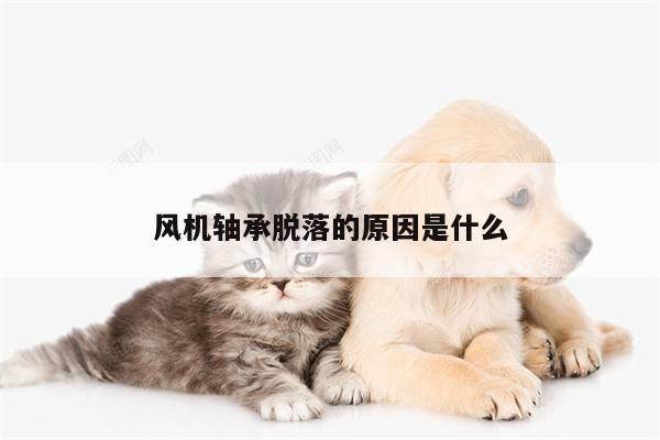 风机轴承脱落的原因是什么