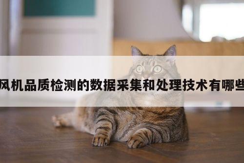 风机品质检测的数据采集和处理技术有哪些