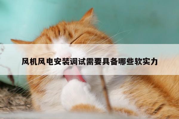风机风电安装调试需要具备哪些软实力