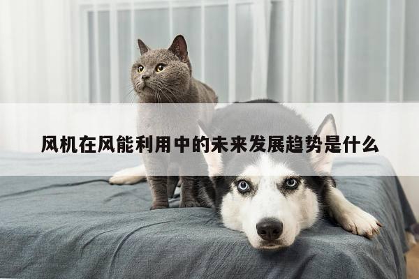 风机在风能利用中的未来发展趋势是什么