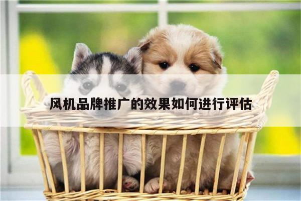 风机品牌推广的效果如何进行评估