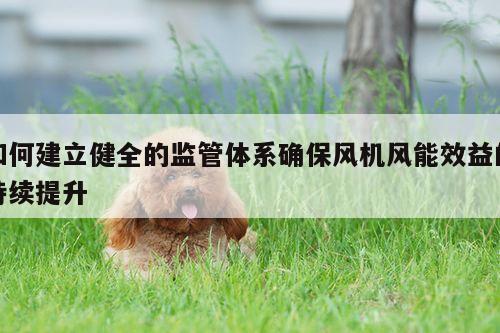 如何建立健全的监管体系确保风机风能效益的持续提升