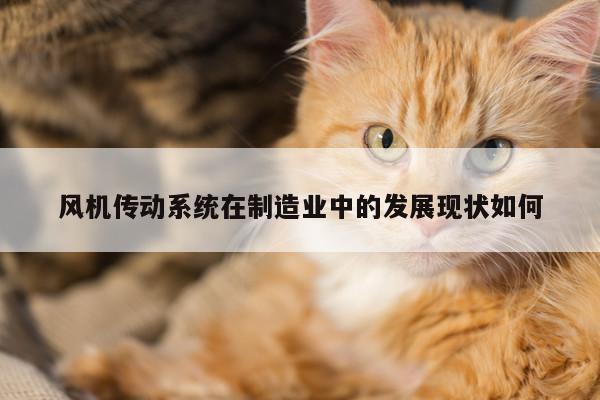 风机传动系统在制造业中的发展现状如何
