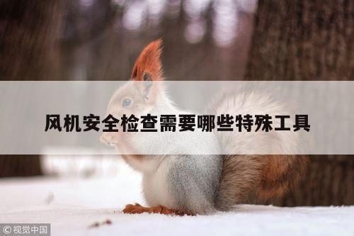 风机安全检查需要哪些特殊工具