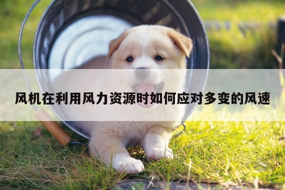 风机在利用风力资源时如何应对多变的风速
