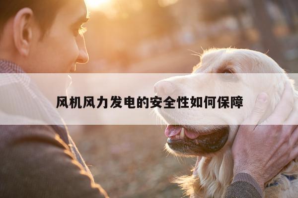 风机风力发电的安全性如何保障