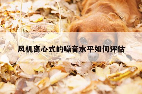 风机离心式的噪音水平如何评估