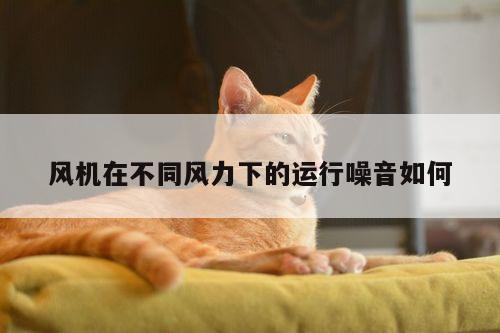 风机在不同风力下的运行噪音如何