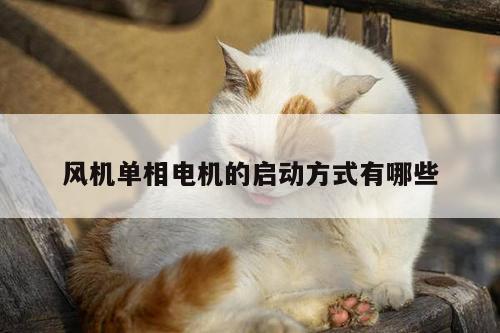 风机单相电机的启动方式有哪些