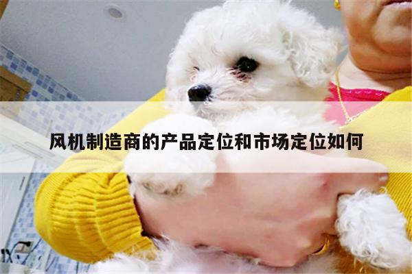 风机制造商的产品定位和市场定位如何