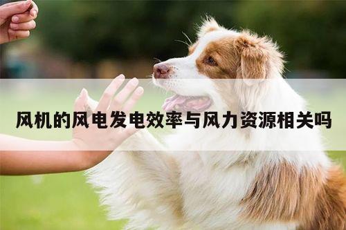 风机的风电发电效率与风力资源相关吗