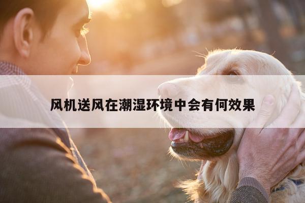风机送风在潮湿环境中会有何效果