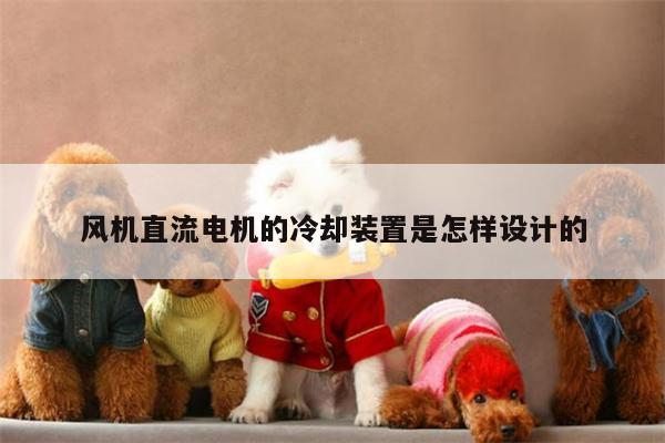 风机直流电机的冷却装置是怎样设计的
