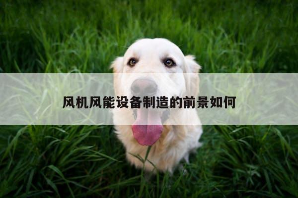 风机风能设备制造的前景如何