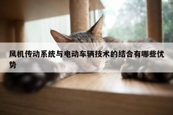 风机传动系统与电动车辆技术的结合有哪些优势