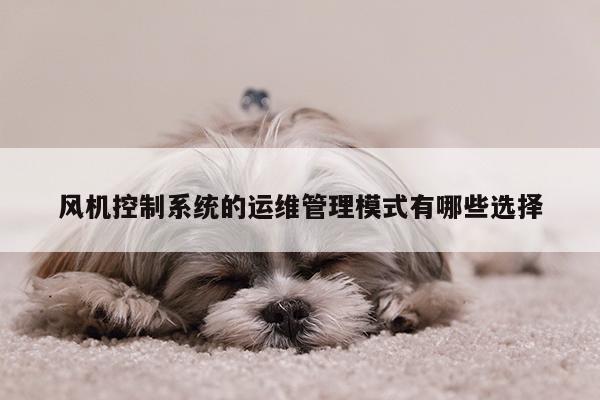 风机控制系统的运维管理模式有哪些选择