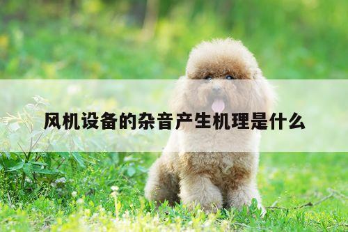 风机设备的杂音产生机理是什么