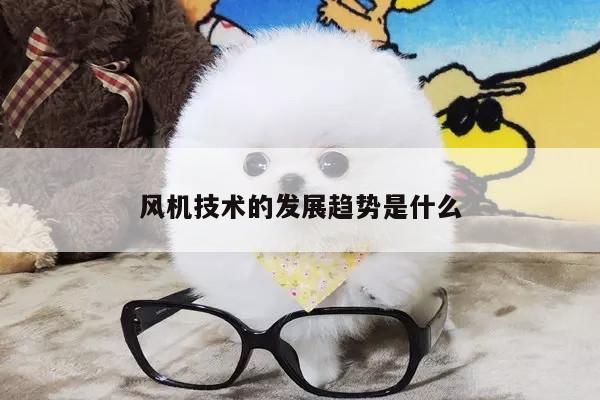 风机技术的发展趋势是什么