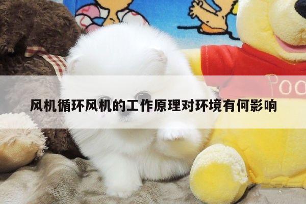 风机循环风机的工作原理对环境有何影响