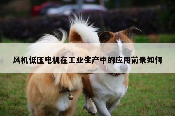 风机低压电机在工业生产中的应用前景如何